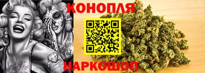 мяу мяу мука Ставрополь