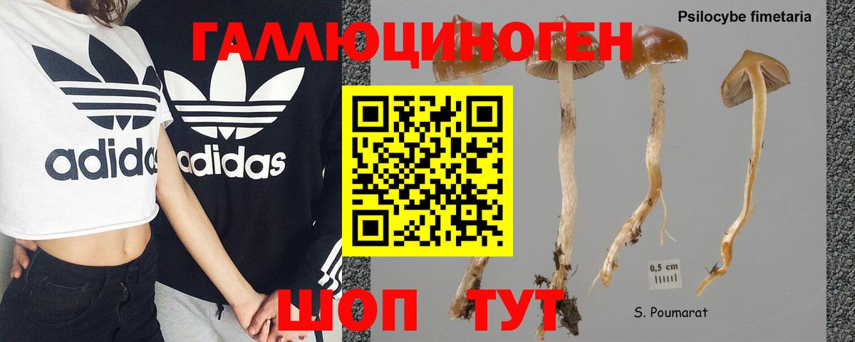 Псилоцибиновые грибы Magic Shrooms  Вход с VPN  Новочеркасск 