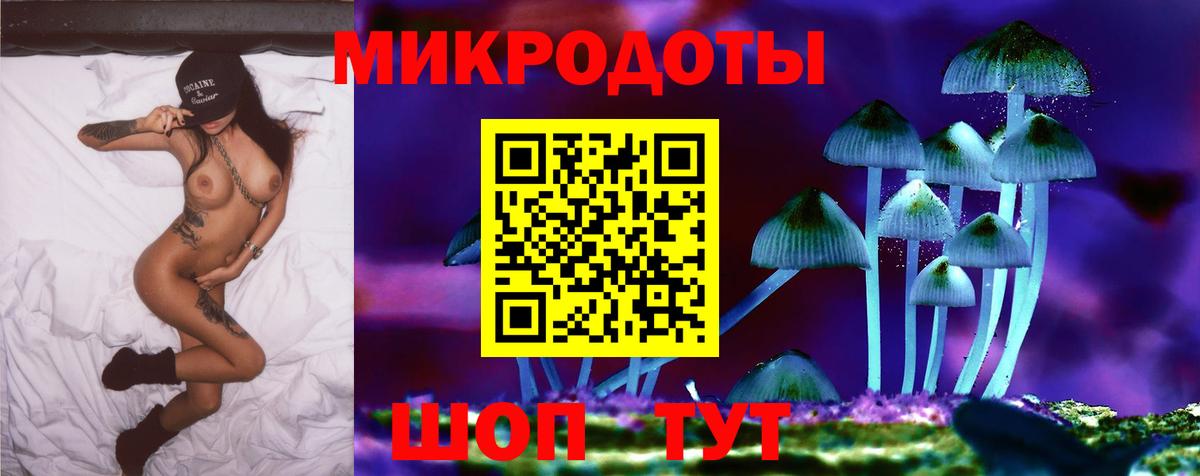 Галлюциногенные грибы мицелий Новочеркасск